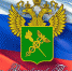 День таможенника РФ - Газета Заря